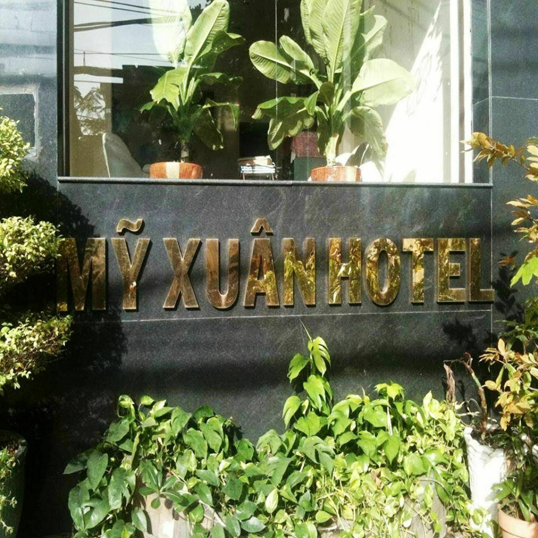 My Xuan TP. Hồ Chí Minh